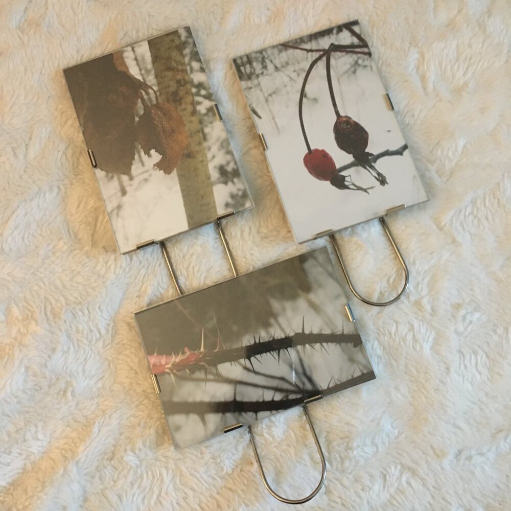 Lot of 3 Glass Metal Photo Frames Canadian Winter Nature Photography Cabin Art - Picture 3 of 9